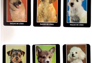 Coleção completa de 12 calendários sobre Raças de cães 1986