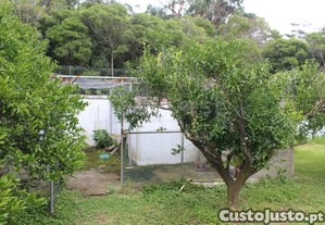 imagem_33