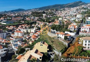 imagem_10
