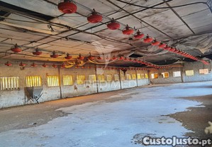 imagem_29