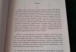 imagem_6