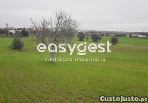 imagem_8