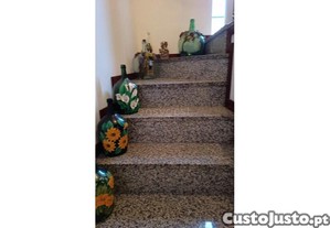 imagem_19