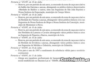 imagem_20