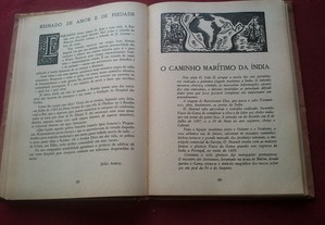 imagem_4