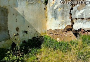 imagem_16