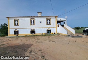 imagem_7