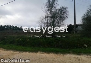 imagem_15
