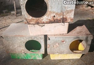 imagem_5