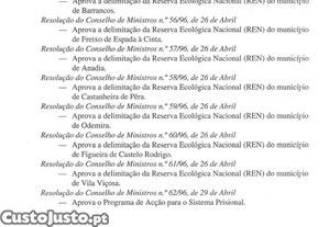 imagem_10