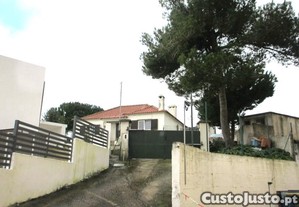 imagem_16