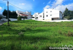 imagem_7