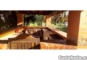 imagem_12