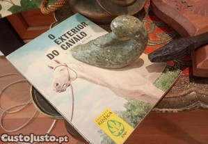 imagem_7