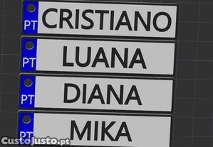 imagem_2