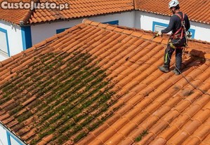 Limpeza de telhados low cost