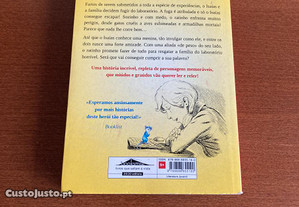 imagem_2