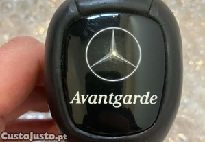 imagem_11