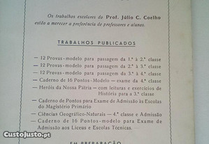 imagem_6