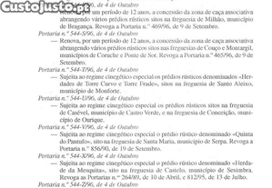 imagem_22