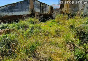 imagem_21