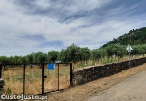 imagem_38