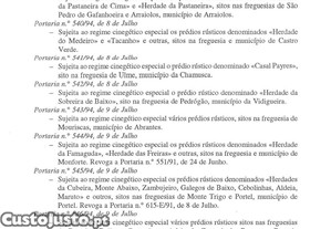 imagem_18