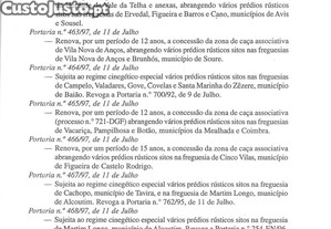 imagem_21
