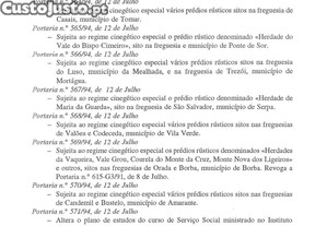 imagem_20