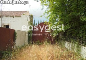 imagem_9