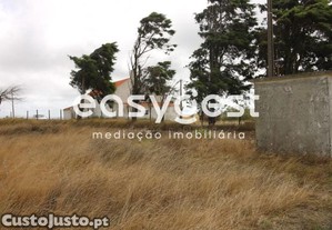 imagem_13