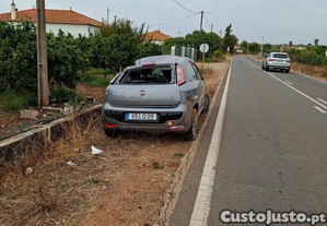 imagem_3