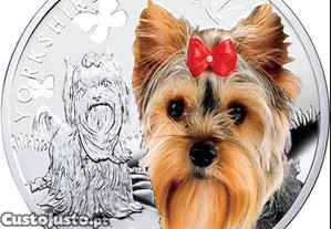 imagem_2