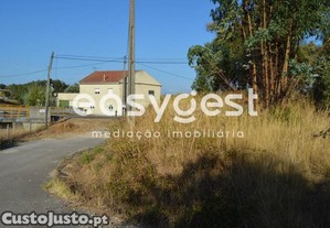 imagem_15