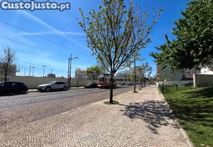 imagem_17