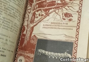 imagem_2