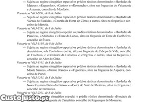 imagem_22