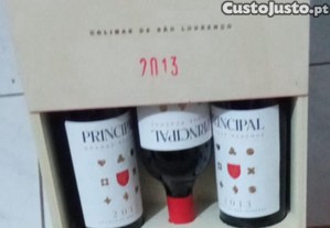 imagem_1