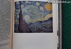 imagem_8