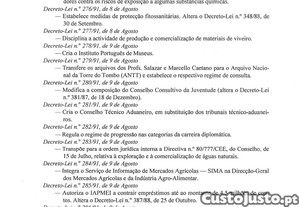 imagem_11