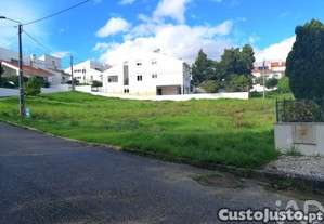 imagem_11