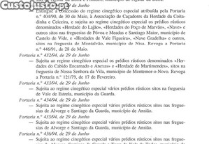 imagem_27