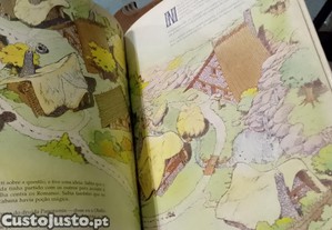 imagem_7