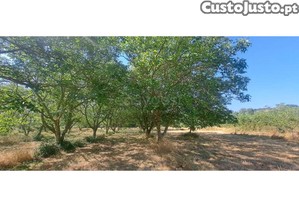 imagem_14