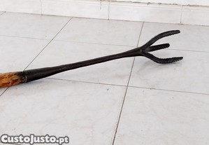 imagem_1