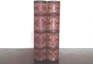 Conjunto de 2 Caixas em forma de livro antigo