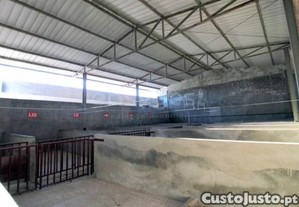 imagem_18