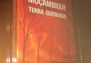 imagem_8