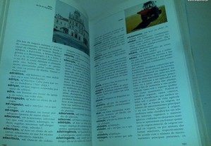 imagem_7