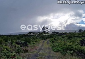 imagem_11